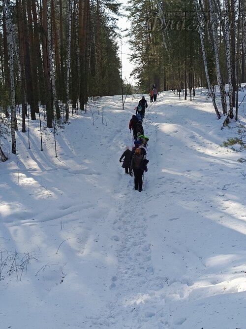 IMG_20260314_114356_881